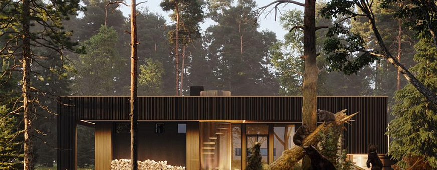 Завершено проектирование бани в стиле хай-тек – В-104