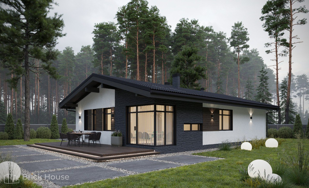 Дом в д. Кашино